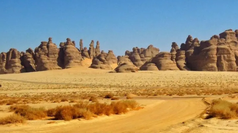 মাদায়েনে সালেহ নিয়ে নবী কারিম সা. যা বলেছেন